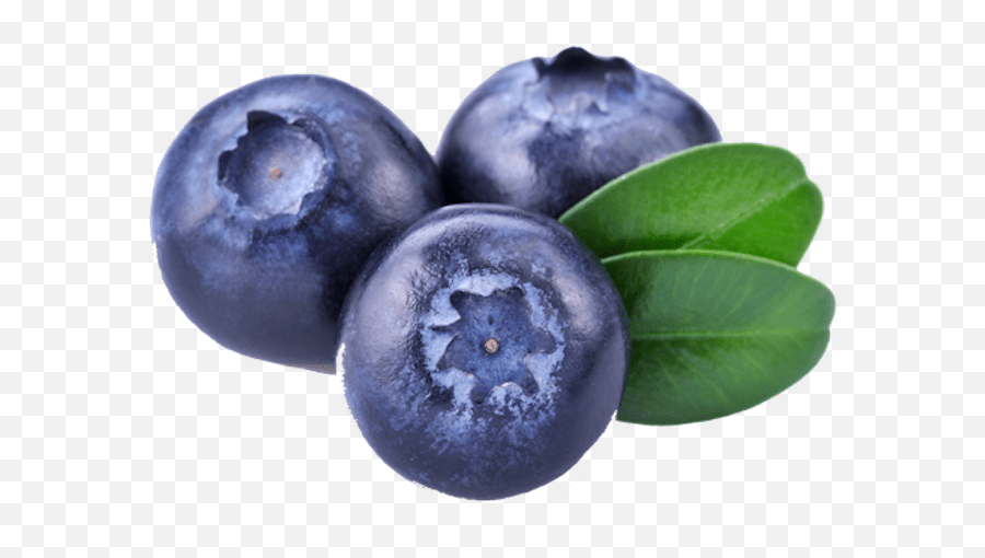 Three Blueberries Transparent Png - Blue Berry Fruit Png,Blueberry Transparent Background