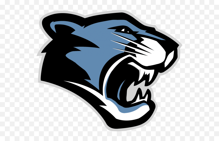 Sports Block Carolina Panthers Png Logo - Ridgeview Middle School Mascot,Carolina Panthers Logo Png