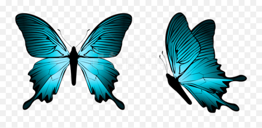 Butterfly Outline Png - Borboleta Azul Turquesa Png,Butterfly Clipart Transparent Background