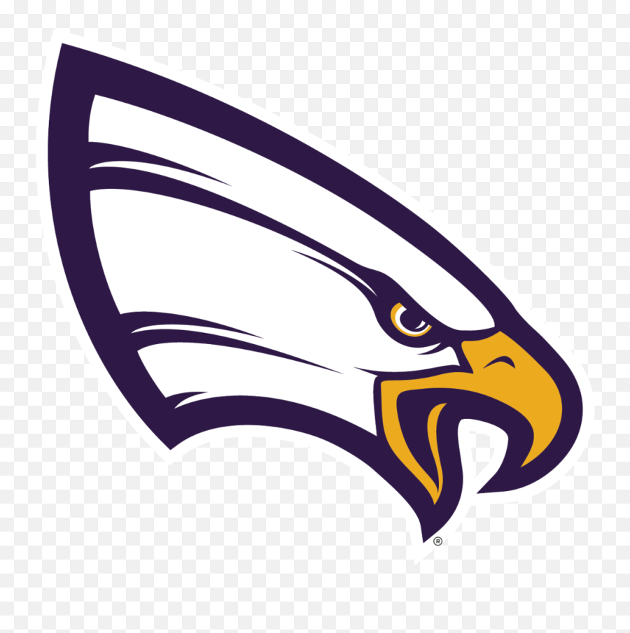 About U2014 Unw Flocktalk - University Of Northwestern St Paul Eagles Png,Eagle Logo Png