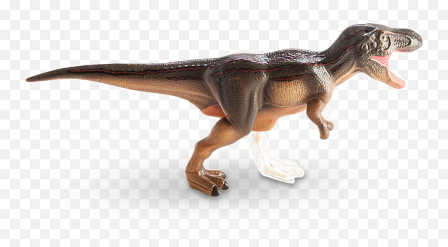 Download 4d Vision T - Rex Anatomy Model T Rex Anatomy Png Anatomy,T Rex Png