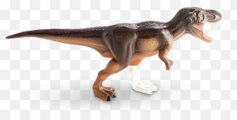 Download 4d Vision T - Rex Anatomy Model T Rex Anatomy Png Anatomy,T Rex Png