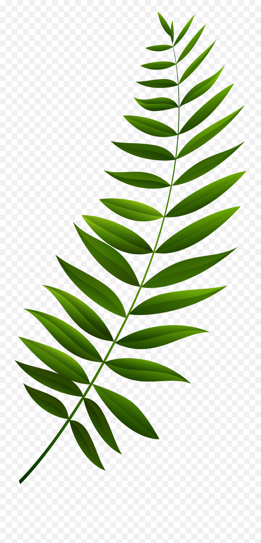 Download Green Branch Clipart Png Image - Transparent Clipart Branch,Branch Clipart Png