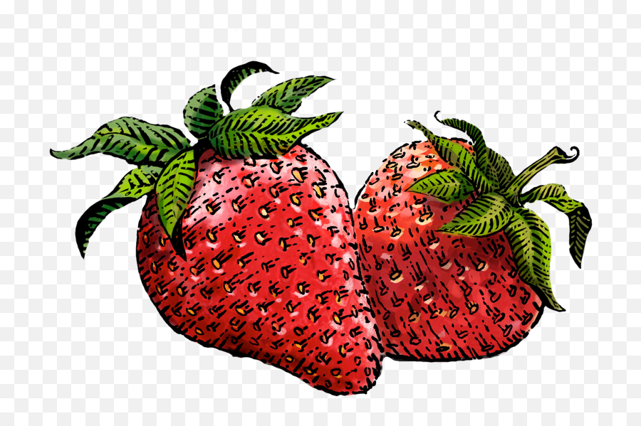 Drawn Strawberry Transparent Background - Strawberry Yogurt Png,Strawberries Transparent Background