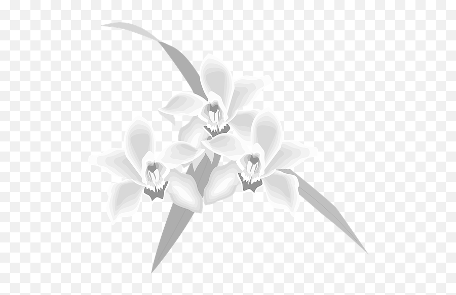 Cohabiting - Flower Clipart Png,Lavendar Bush Icon