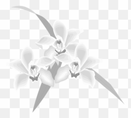 Cohabiting - Flower Clipart png