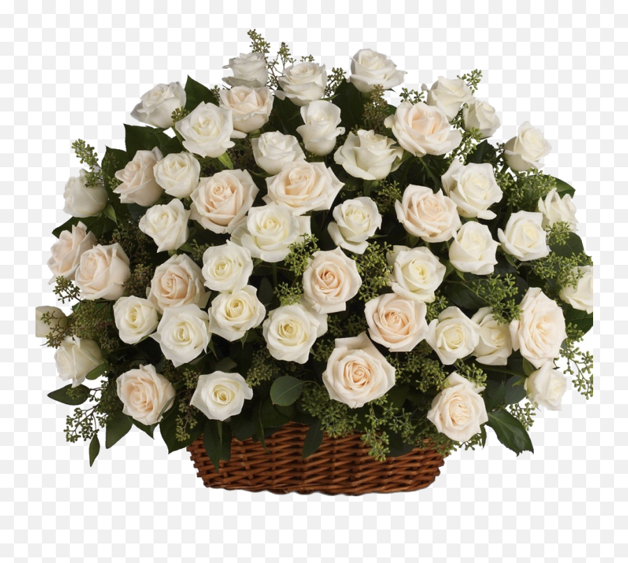 Rose Png Transparent Images Free Download - White Roses For Funeral,Real Rose Png