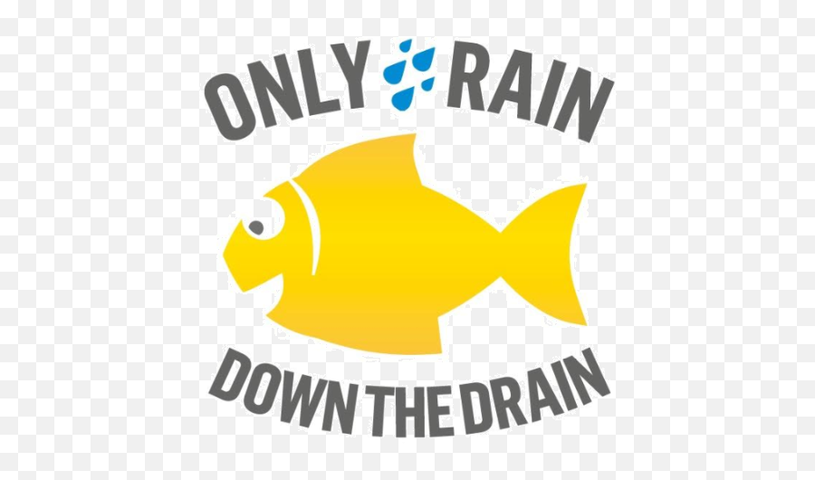 Water Environment Campaign Yellow Fish - Peterborough City Pomacentridae Png,Fish Logo Png