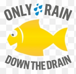 Water Environment Campaign Yellow Fish - Peterborough City Pomacentridae Png,Fish Logo Png