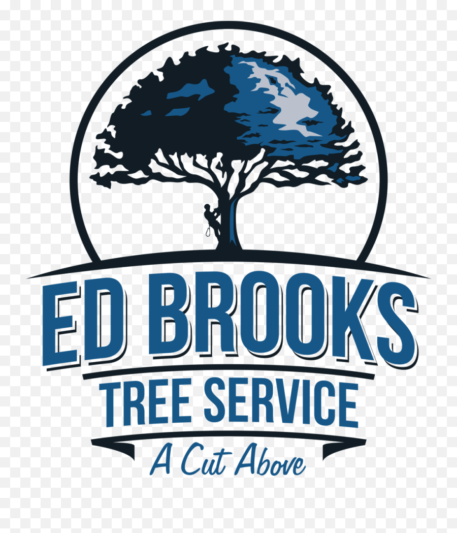 Ed Brooks Tree Service Png From Above