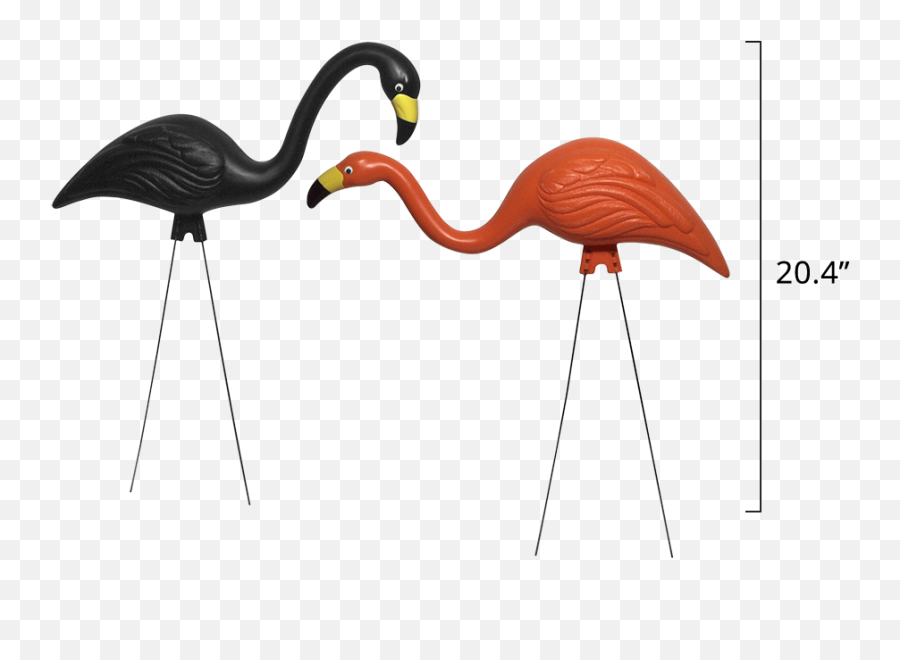 Bloem Living Flamingos - Spooky Flamingos Png,Flamingo Icon
