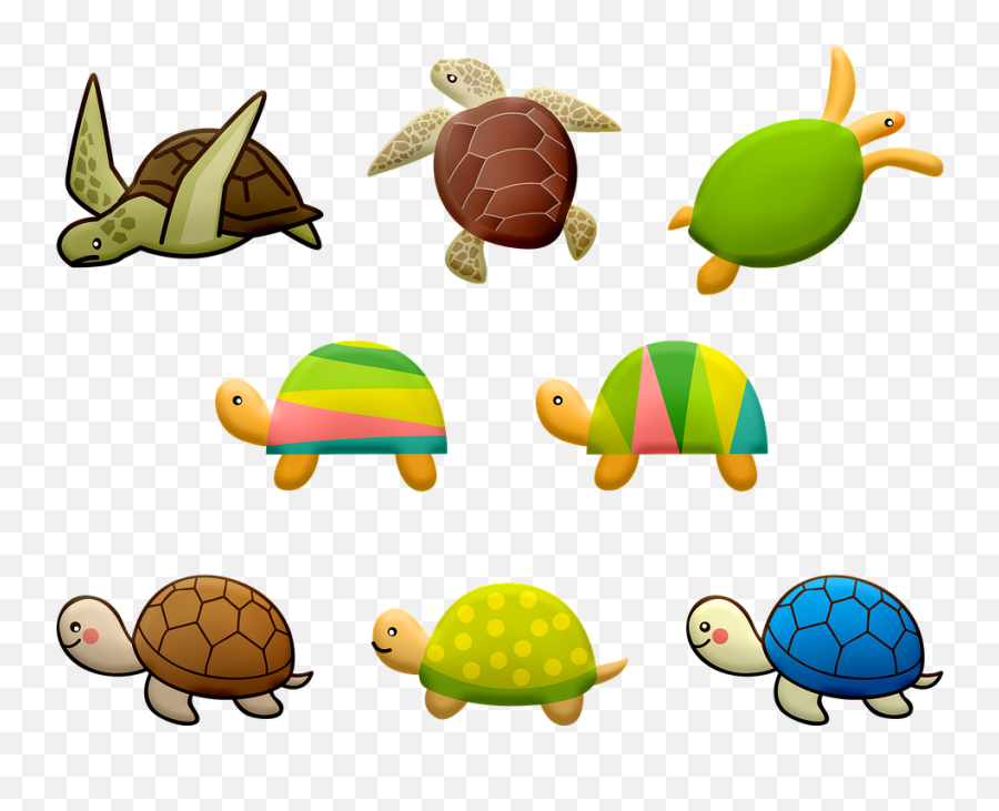 Turtle Colorful Ocean - Free Image On Pixabay Carrera De Tortugas Png,Free Anchor Icon