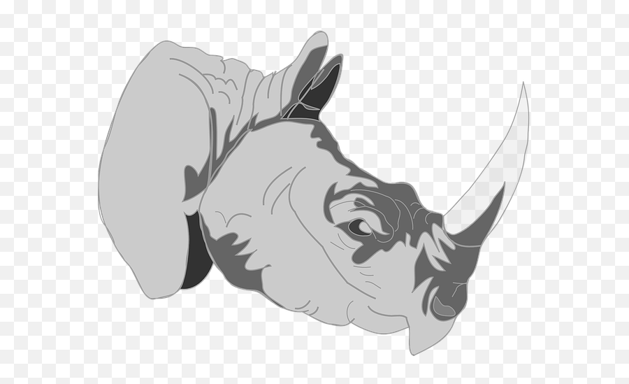 1 Free Ivory - White U0026 Rhino Vectors Rhino Horn Clipart Png,Ivory Icon