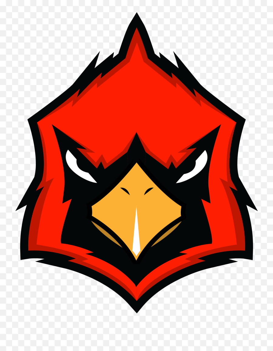 Download Hd Cardinals Logo Png - Logo Arizona Cardinals Mascot,Cardinal Png
