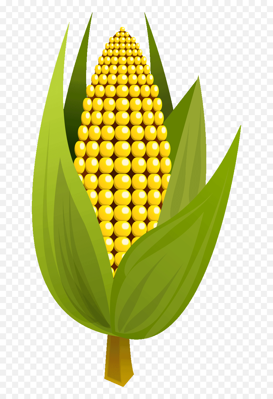Download Corn Clipart Yellow Fruit - Maize Full Size Png Rice And Corn Logo Png,Corn Clipart Png
