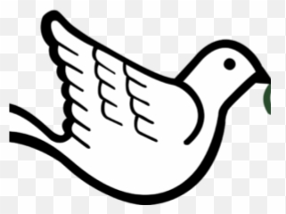 Download Hd Free Dove Clipart - Dove With Olive Branch Dove With Olive Branch Png,Dove Transparent