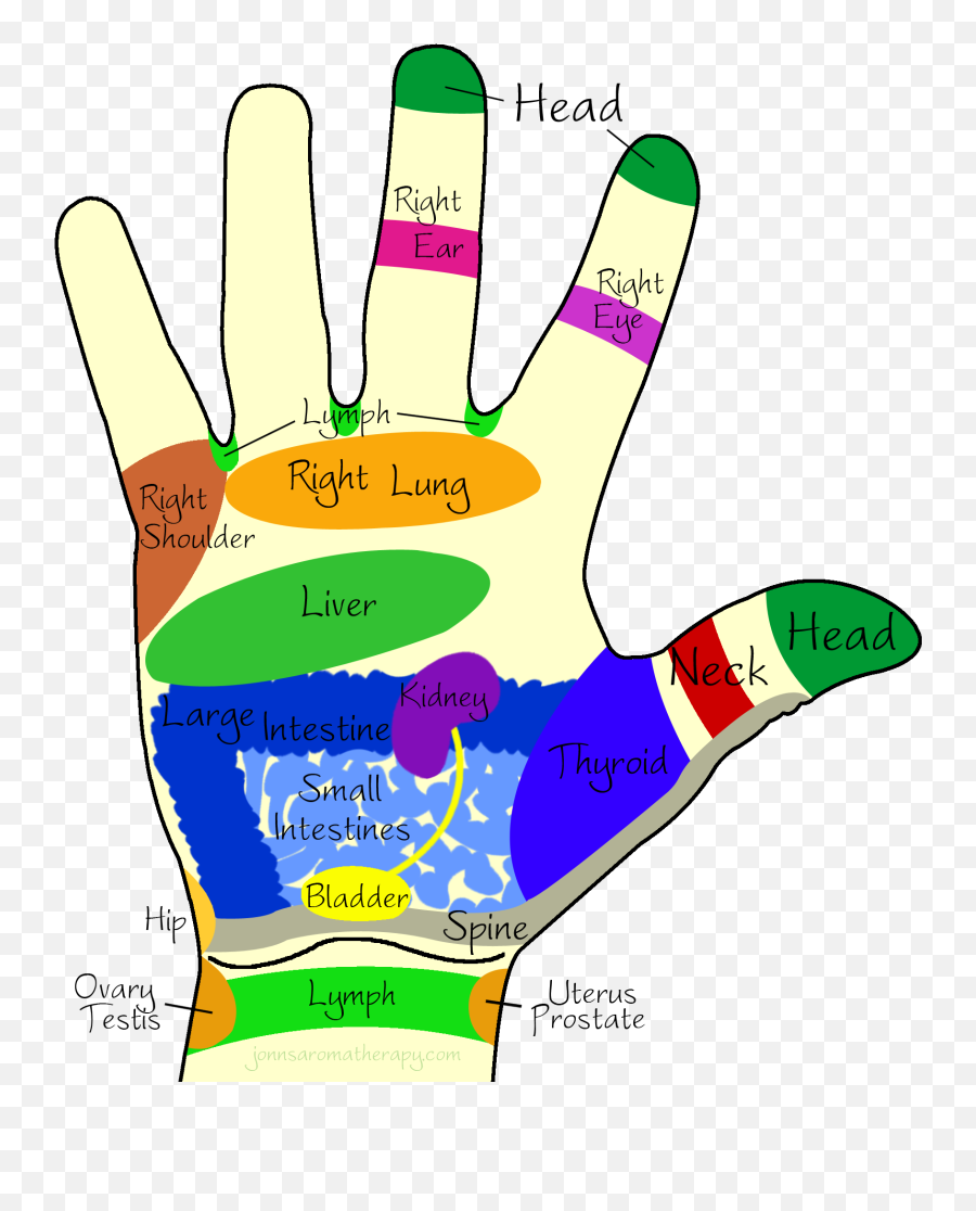 Jonn S Aromatherapy Right Hand Palm - Right Hand Palm Png,Hand Palm Png