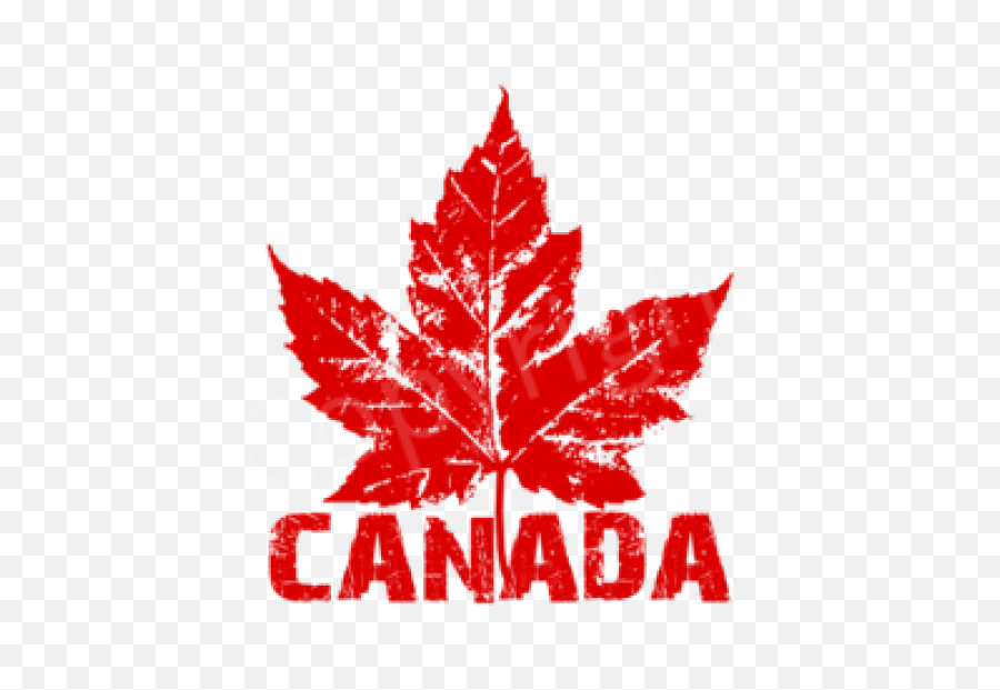 Canada Maple Leaf Png Transparent Images Free Download Clip - Cool Canadian Flag,Leaf Png