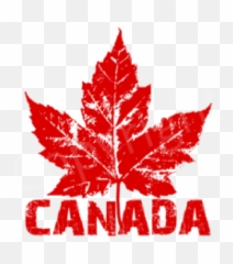 transparent maple leaf for canada day roblox