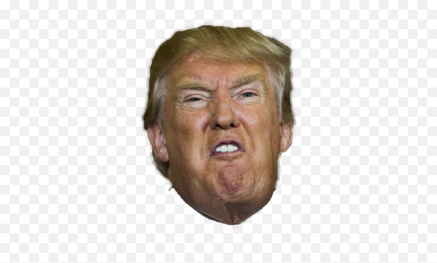 Angry Or Crying Both - Donald Trump Head Cutout Png,Trump Head Transparent