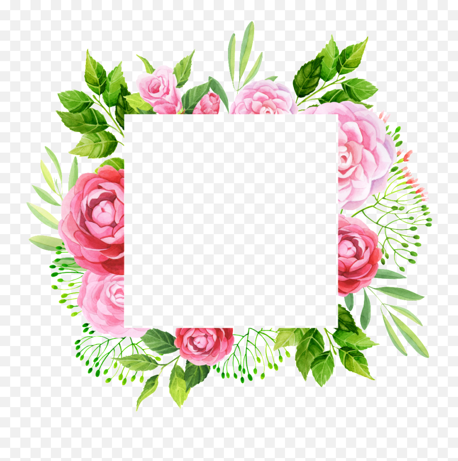 Hand Painted Peony Flower Frame Png Transparent - Leaf Transparent Square Floral Frame,Leaf Frame Png