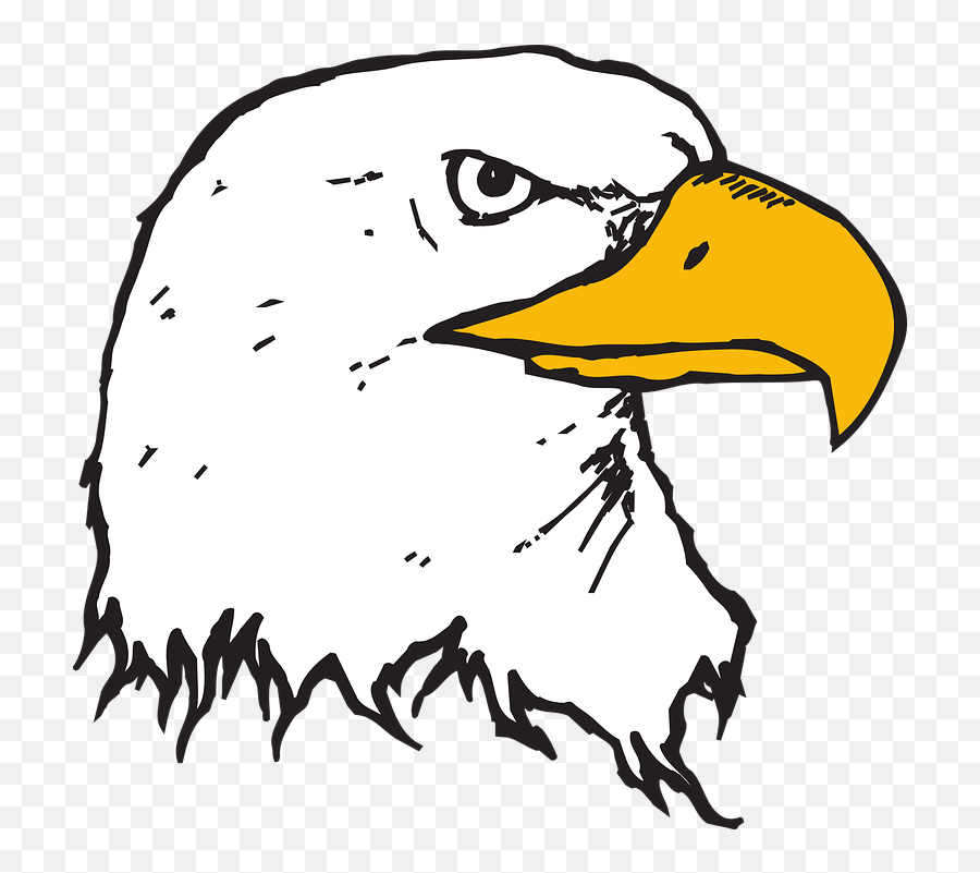 Head Eagle Bird - Bald Eagle Head Clip Art Png,Eagle Head Logo