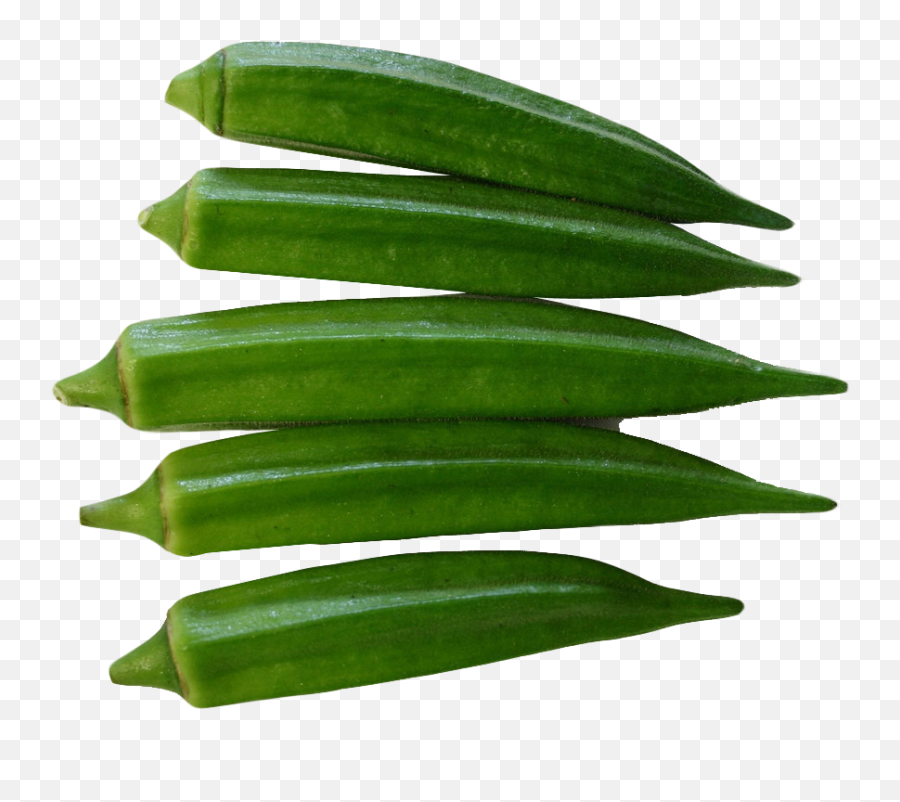 Download Okra Png Image For Free - Okra Png,Aloe Png