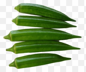 Download Okra Png Image For Free - Okra Png,Aloe Png