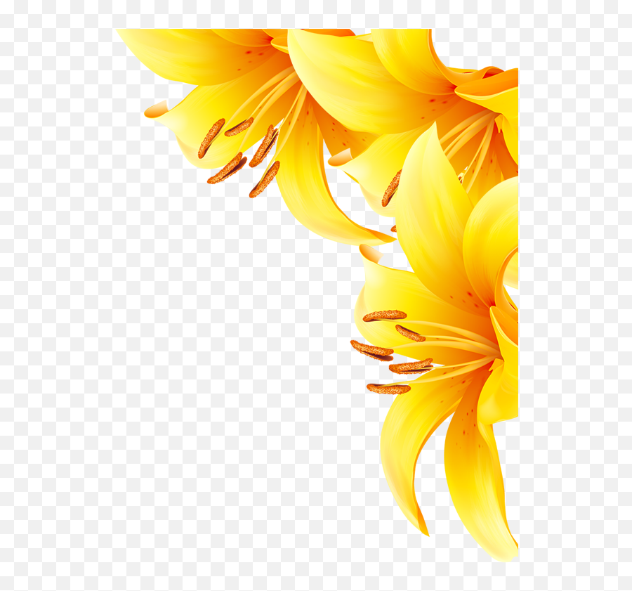 Yellow Flowers Png Download - Sunflower,Yellow Flower Png