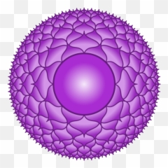 Cropped - Sahasrara Png,Chakra Png
