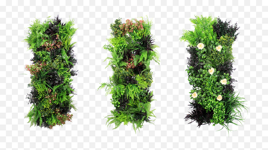 Wall Hanging Plants Png Images