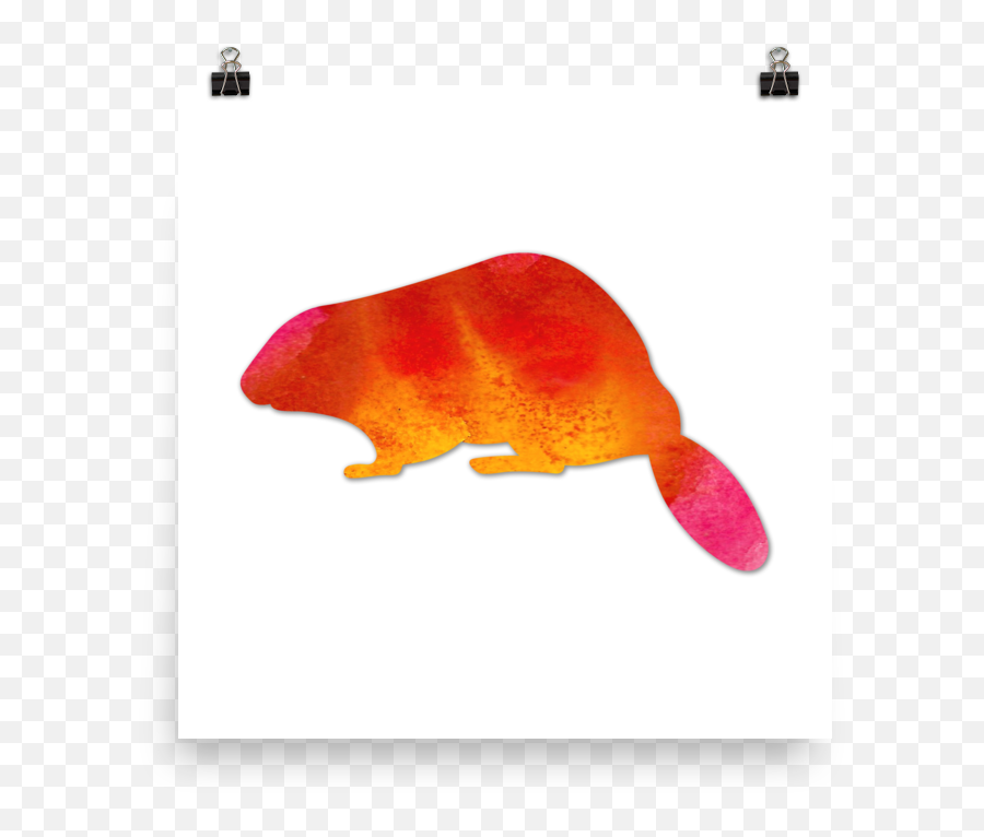 Beaver Poster - Aquarium Fish Png,Beaver Transparent