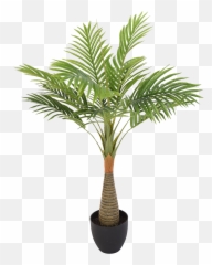 Palm Tree Leaf Transparent Background Png Play - Palmera Planta