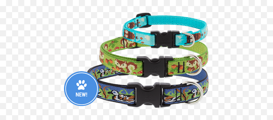 Lupine Pet - Dog Collars Leashes U0026 Pet Gear Lifetime Guarantee Lupine Dog Collar Png,Dog Collar Png