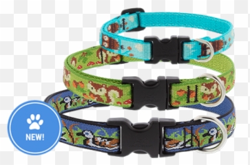 Lupine Pet - Dog Collars Leashes U0026 Pet Gear Lifetime Guarantee Lupine Dog Collar Png,Dog Collar Png