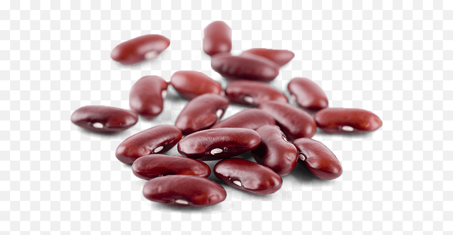Kidney Beans Png Images Free Download - Dried Kidney Beans,Beans Png