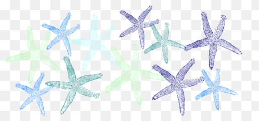 Green And Blue Starfish Png Clip Arts For Web - Clip Arts,Blue Starfish Logo