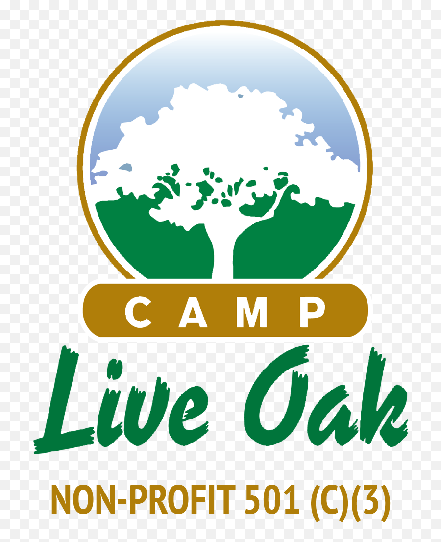 56 Best Plastic Bottle Craft Ideas For Kids - Camp Live Oak Logo Png,Ball Jar Logo