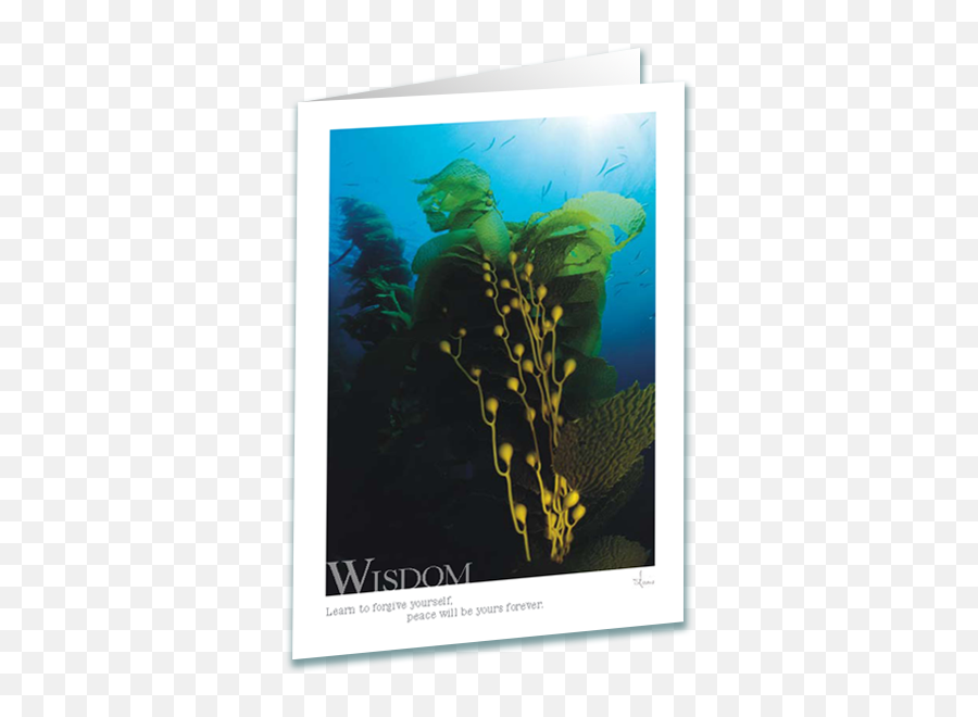 Download Hd Kelp Forest Greeting Card - Fictional Character Png,Kelp Png