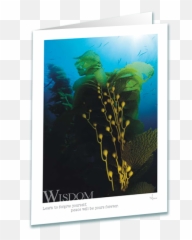 Download Hd Kelp Forest Greeting Card - Fictional Character Png,Kelp Png