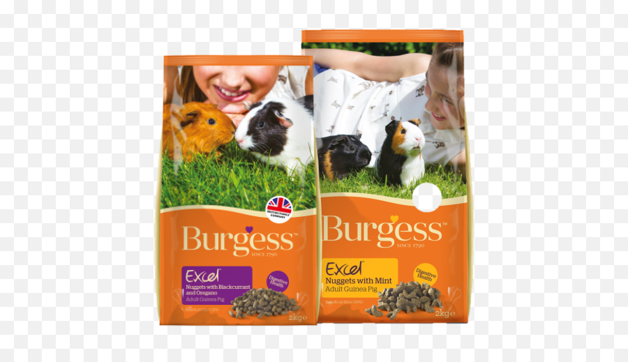 Guinea Pig Pellets Pigs Australia - Burgess Cavies Png,Guinea Pig Png