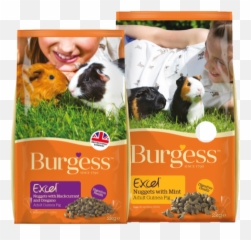 Guinea Pig Pellets Pigs Australia - Burgess Cavies Png,Guinea Pig Png