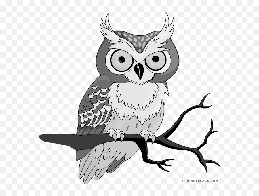 Cute Owl Clipart - Cute Owl Clipart Black And White Png,Cute Owl Png