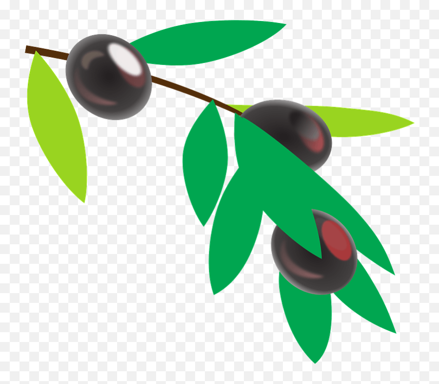 Black Olives - Mata De Cafe Vector Png,Olive Branch Logo