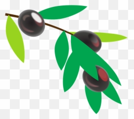 Black Olives - Mata De Cafe Vector png