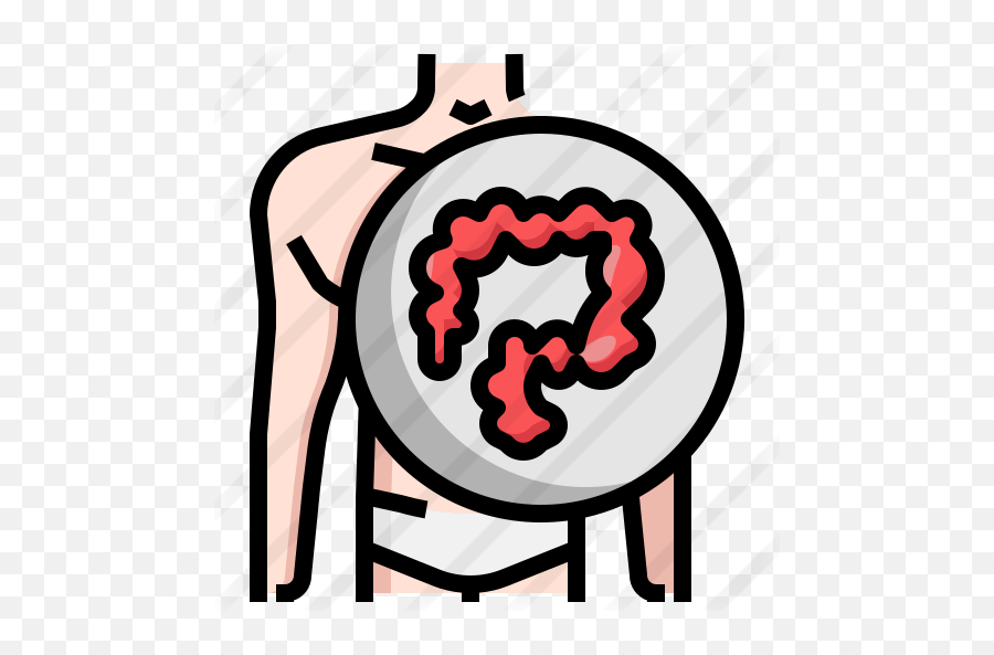 Large Intestine - Free Medical Icons Language Png,Intestine Icon