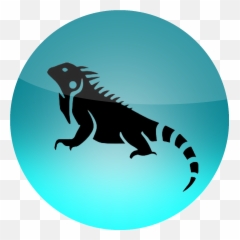 Ios App Icon - Common Iguanas png