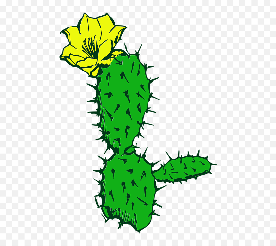 Cactus Flower Desert - Free Vector Graphic On Pixabay Cartoon Cactus Flower Png,Cacti Png