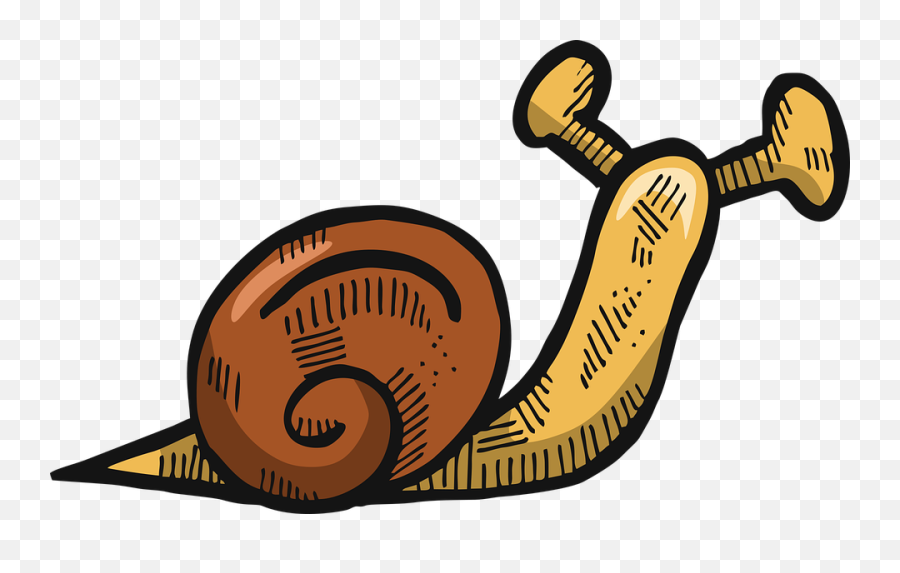 Free Photo Snail Shell Cartoon Slow Animal Drawing Icon - Snail Png,Sea Serpent Icon