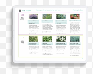 Why Front Yard Forests U2014 Sustainable Field Guides For Happy Png